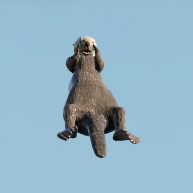 Captainfury