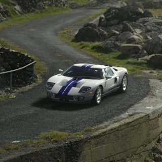 GTO