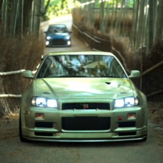 Poliotan