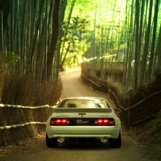 カサラサバク