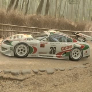 Waynerossi