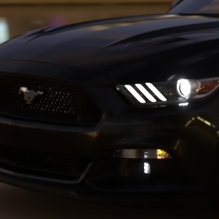 SRCN_lbwen