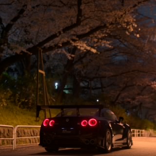 reijin99