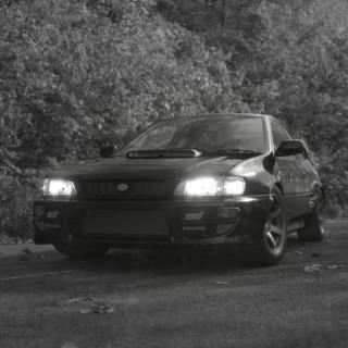 BLOODSPORT