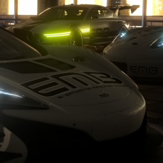 EMB_elcojo