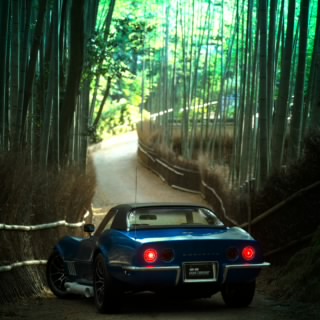 Bekimoi