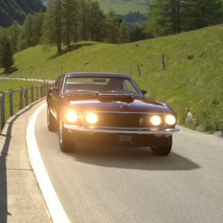 Wolfire