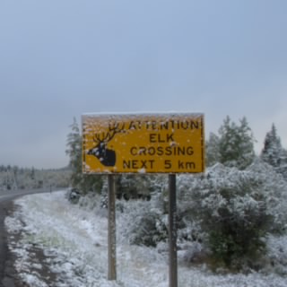 Western Pete
