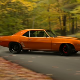 D. Toretto