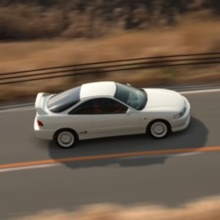 speedydoge