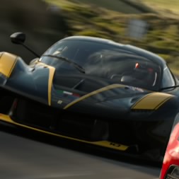 The stig