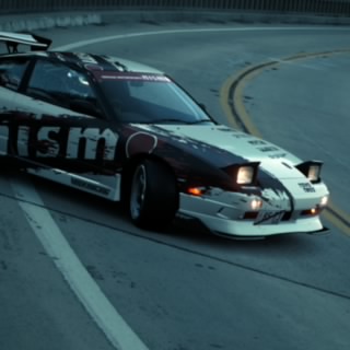 Wistiti25