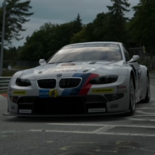 Meister-Harry