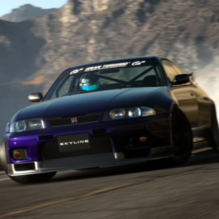Rimrider