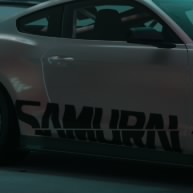 Sainz_z