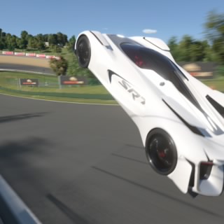 Pit303