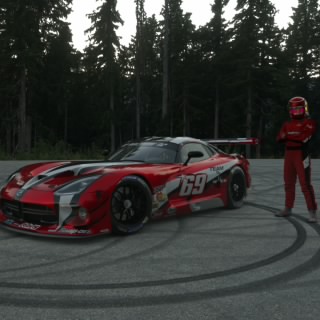 VIPER69er