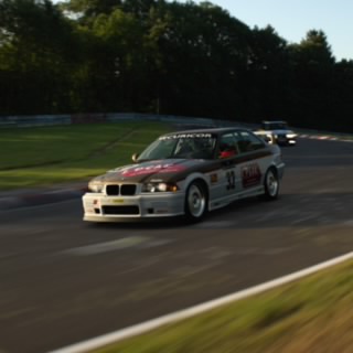 Theracingartist