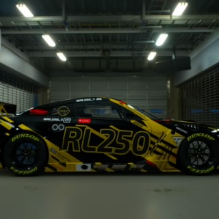 RL250_YT