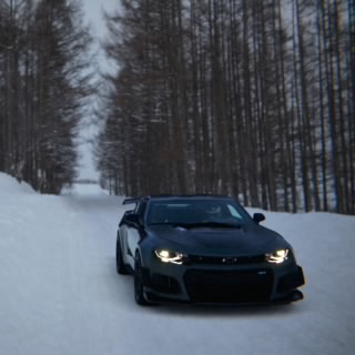 Sunny