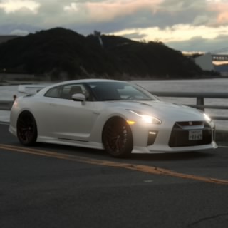 山猫