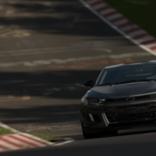 TGR_Canario23