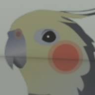 豆乳るんばﾁｬﾝ