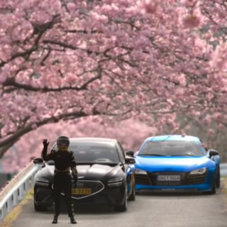 제네시스