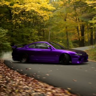 Carloosp04