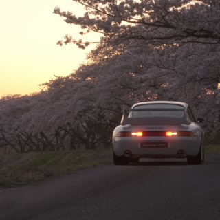 tnazr