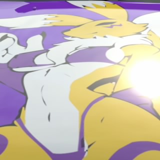 Renamon_1234