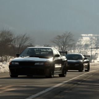 Poochingus