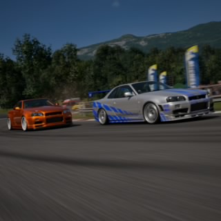 Trk