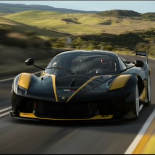 POTRO_CANARIO