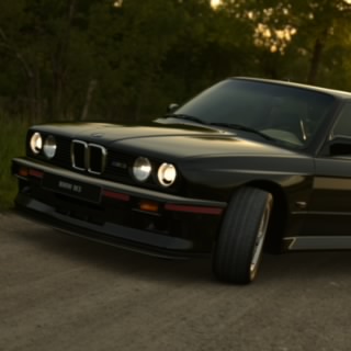 Mr_Calamar