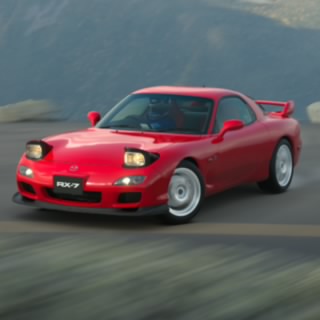 文竹