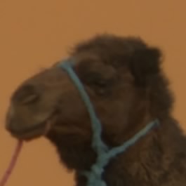 やじ