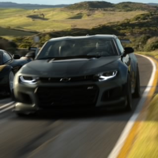 Countryroads81