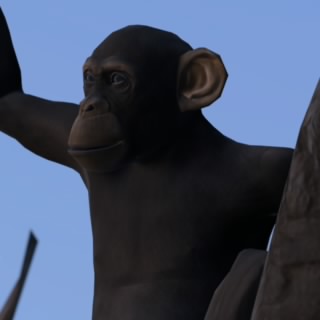 プレミアムゴリラ