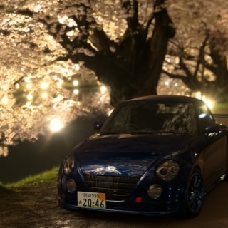 がっぴさん