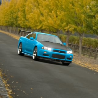 Duke