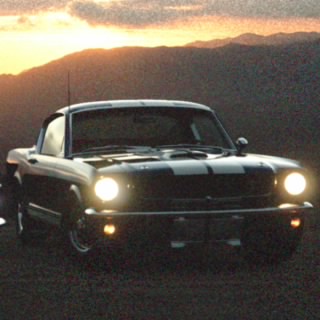 White_Kemono2007