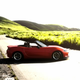 lotus_kei009
