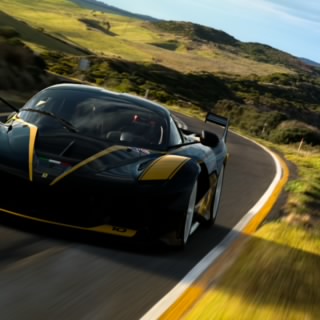 E. Musk Driving