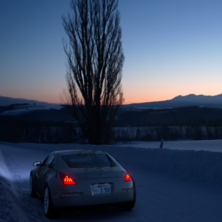 fake__z33