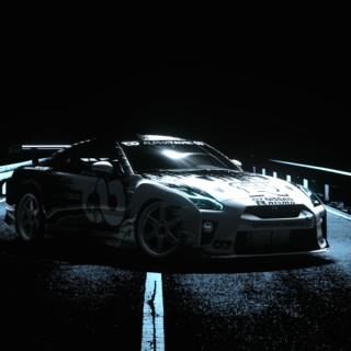 PSR_Protea22