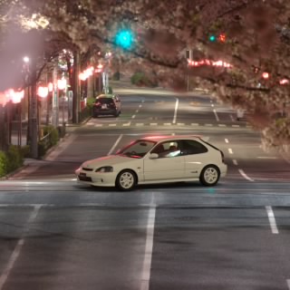 Accanon