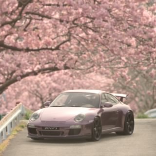 xX_nullptr_Xx
