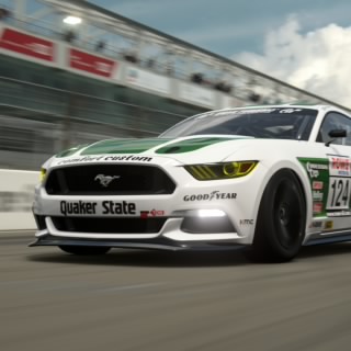 MrMushiba