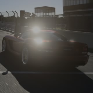 The Stig